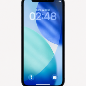 iPhone 12 Mini 128 Go Occasion et Reconditionné